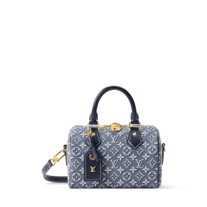 Louis Vuitton Speedy Bandoulière 20 dubaydan.shop